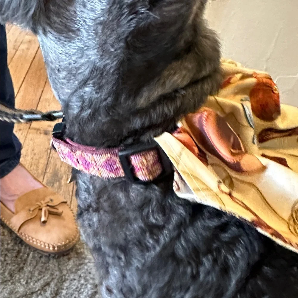 Stylish Dog Bandana with Matching Poopie Bag